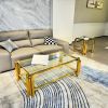 Modern Stainless Steel Coffee Table Set (Set of 2), Double-Layer Clear Tempered Glass Table Top