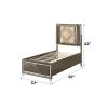 Skylar Synthetic leather & Dark Champagne Finish Full Bed W/Led & Storage