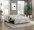 Transitional Style Convertible Sofa with Pull-Out Bed Light Gray Upholstery Solid Wood Living Room Furniture 1pc