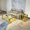 Modern Stainless Steel Coffee Table Set (Set of 2), Double-Layer Clear Tempered Glass Table Top